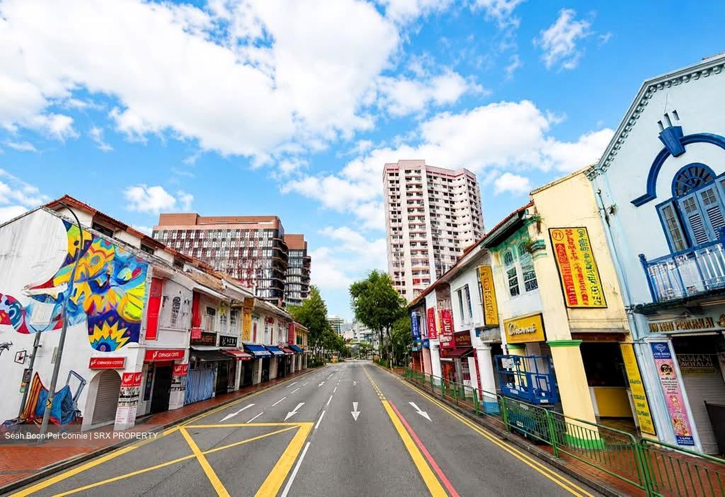 Little India Conservation Area (D8), Shop House #561758291